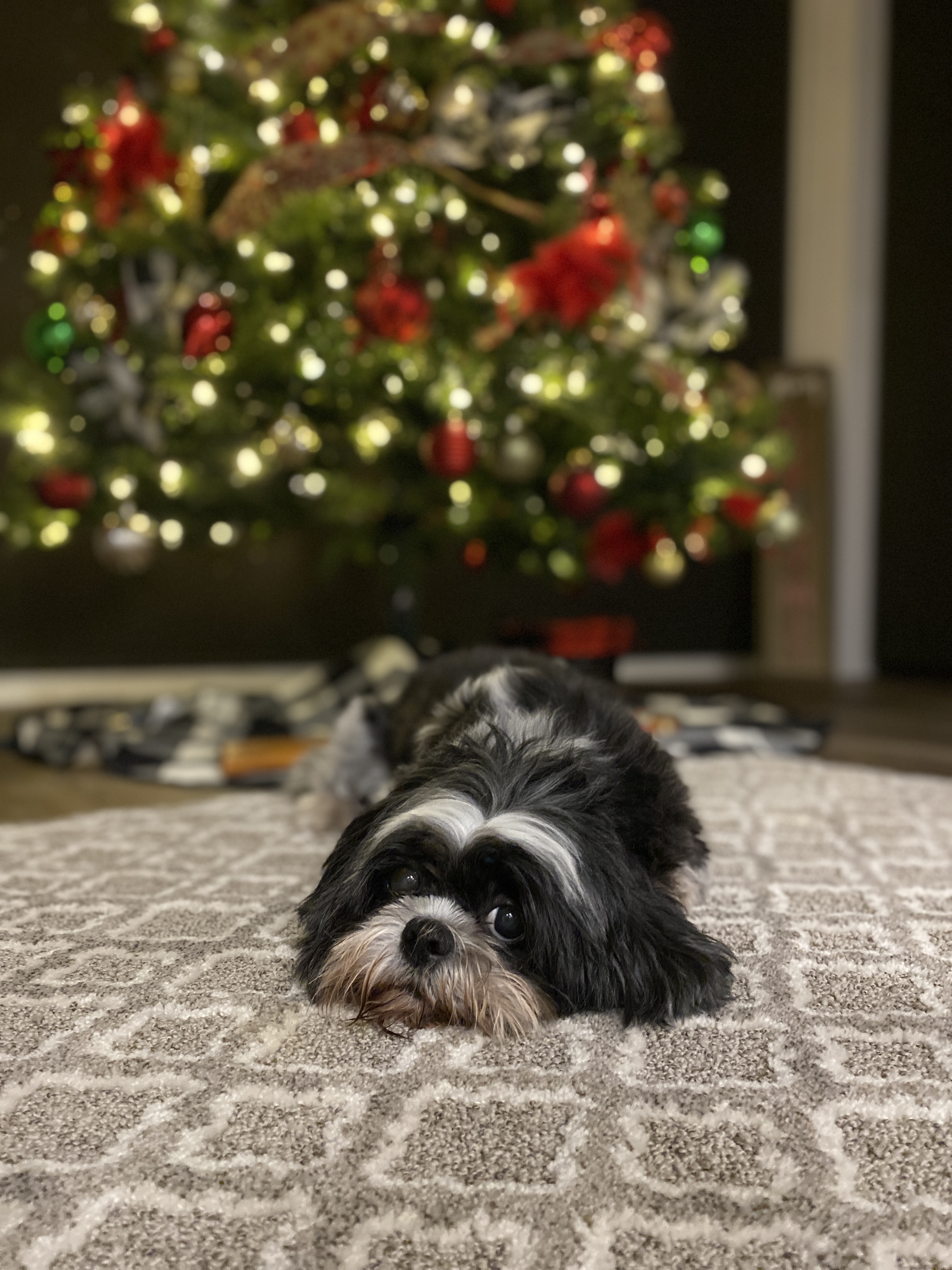 F25FC750-0E78-4868-B919-F766FC4E9ED5